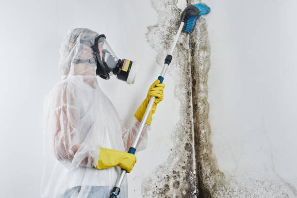Best Mold Testing  in Seven Lakes, NC