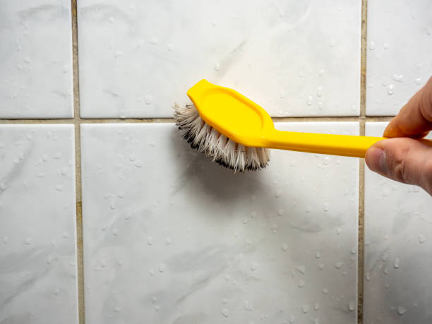 Best Residential Mold Removal  in Seven Lakes, NC