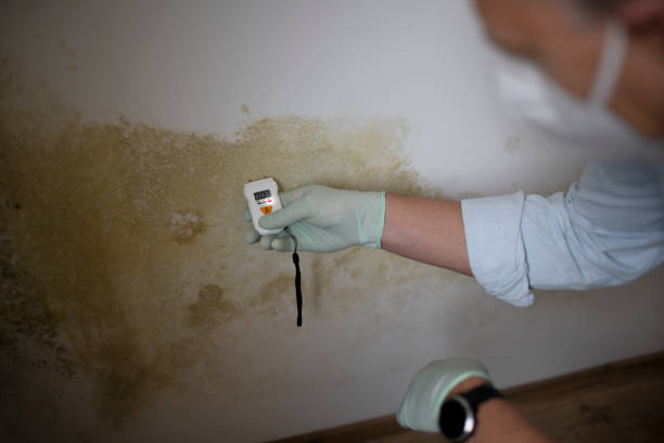 Best Residential Mold Removal  in Seven Lakes, NC