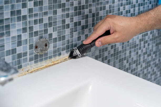 Best Fast Mold Removal  in Seven Lakes, NC